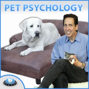 Warren Eckstein 1st Pet Psyhology