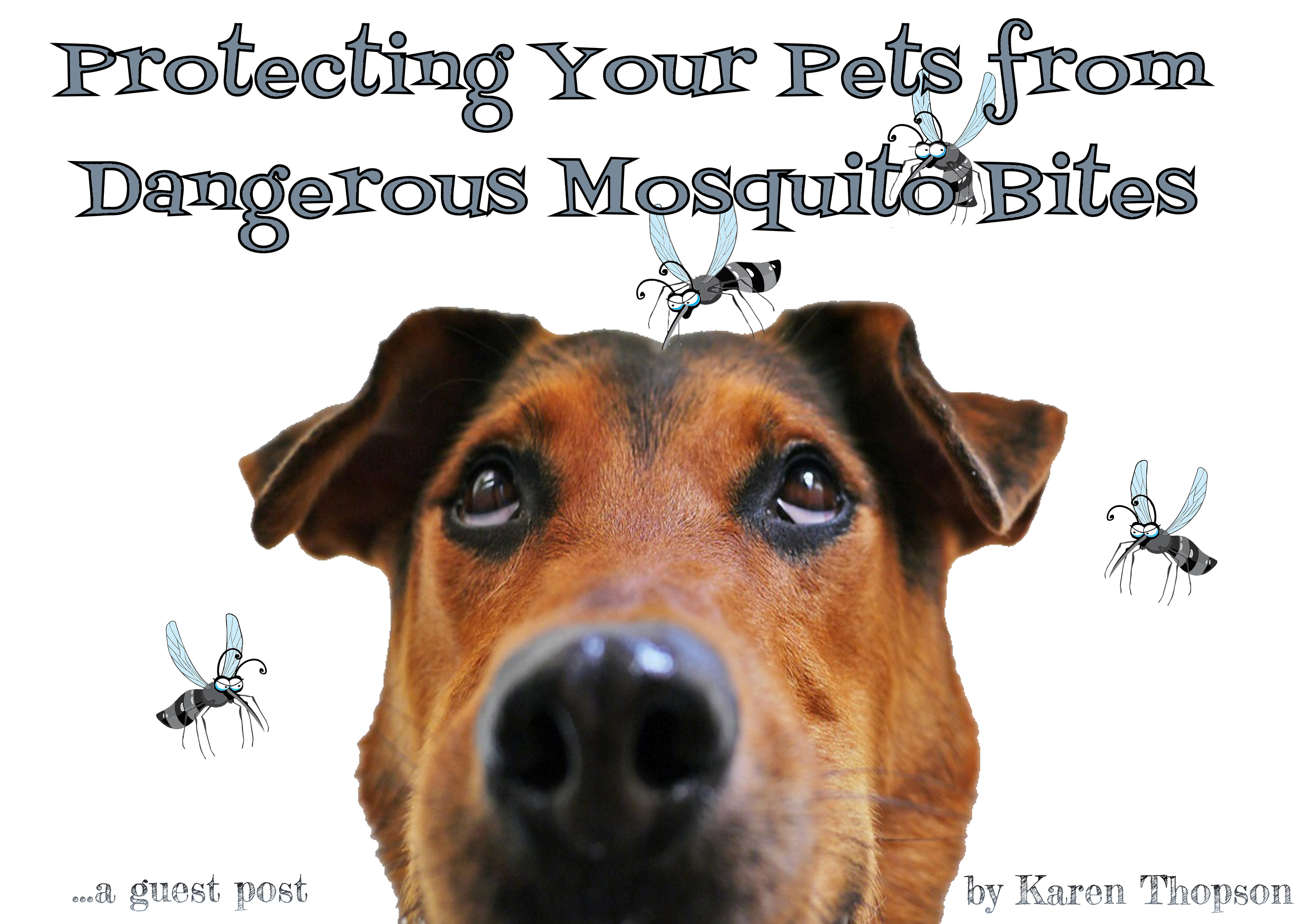 Protecting Your Pets From Dangerous Mosquito Bites The Pet Show With Warren Eckstein