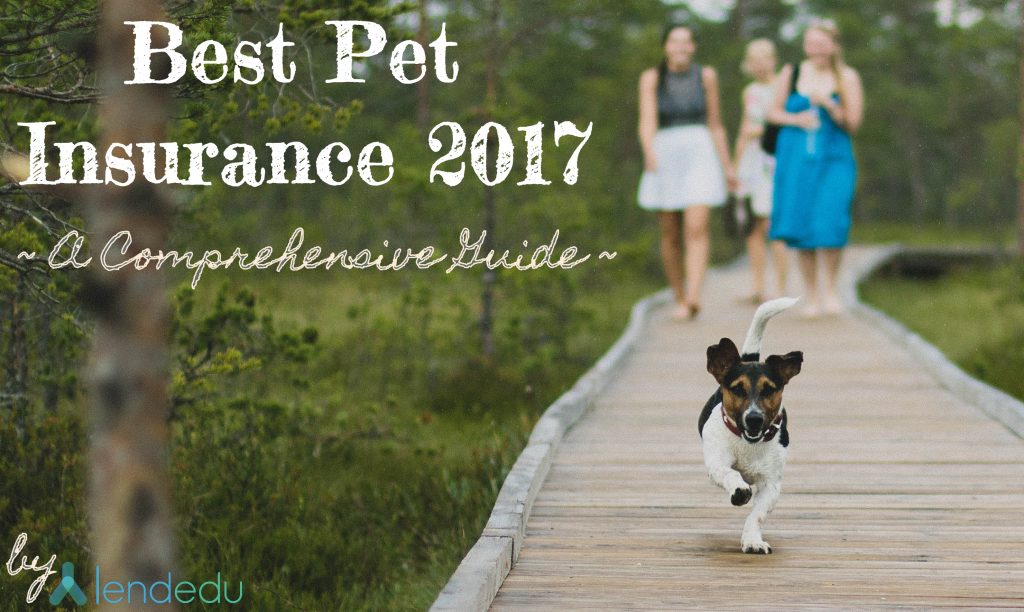 Best Pet Insurance – Comprehensive Guide For 2017 | LendEDU | The Pet ...