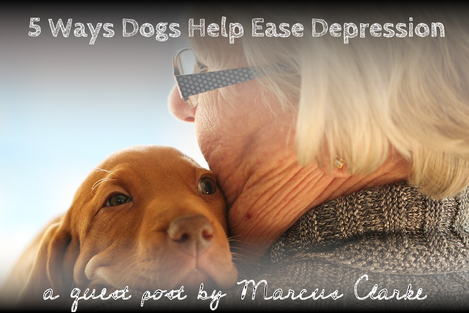 5 ways dogs help ease depression