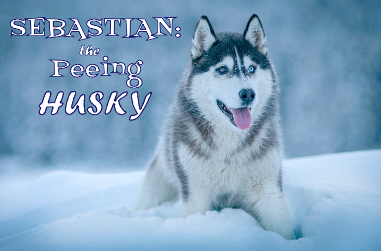 Sebastian: The Peeing Husky | The Pet Show with Warren Eckstein