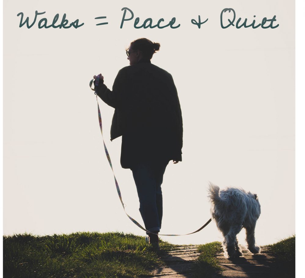 dog walks for peace and quiet
